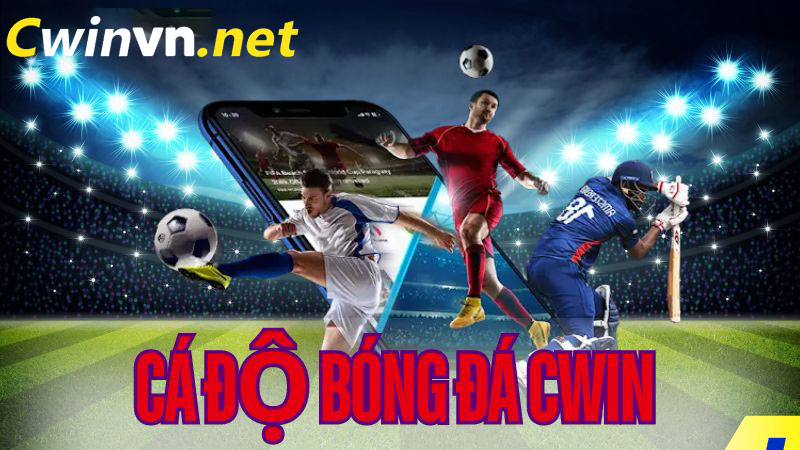 Cách Chơi Cá Độ Bóng Đá Online Hiệu Quả Tại Nhà Cái Cwin